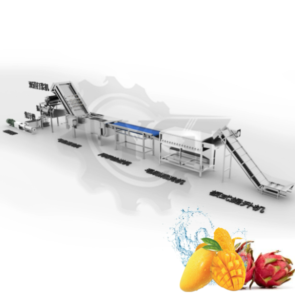 Small-Scale Fresh Fruit Juice Processing Plant Tanaman pemrosesan jus buah segar skala kecil