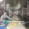 Jalur produksi nanas