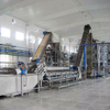 Jalur produksi apel/pir